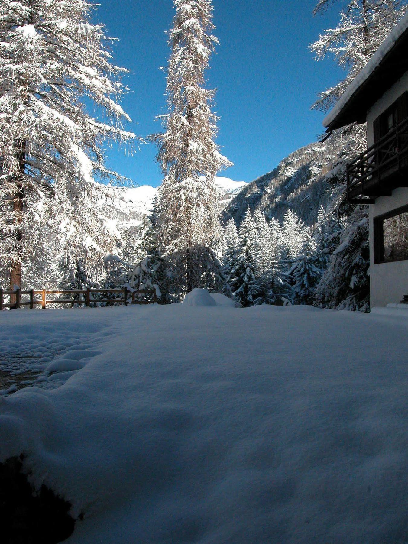 Albergo Villa Anna Maria Champoluc Exterior photo